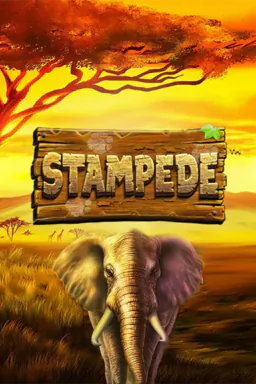 Stampede
