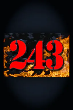 243