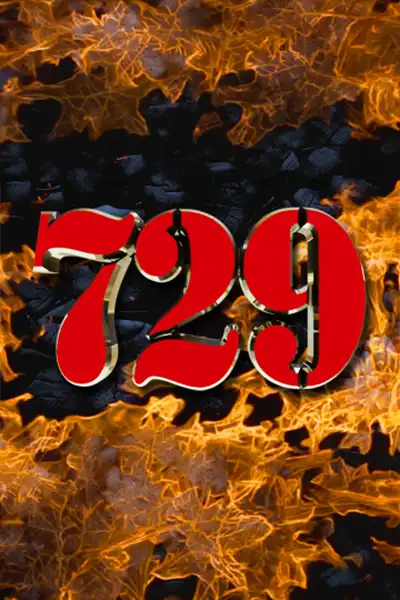 729